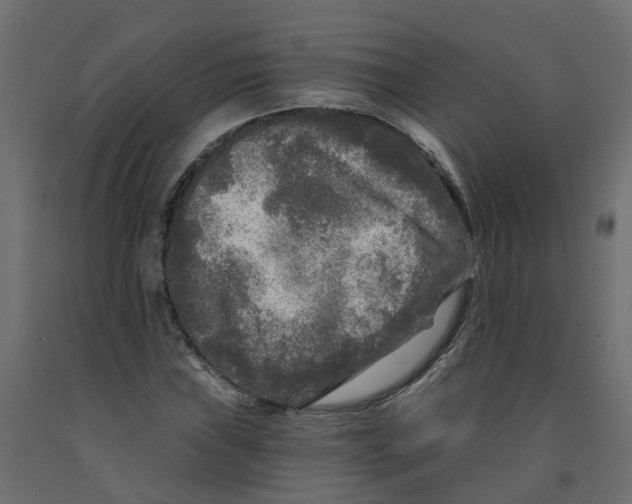 X0000091981019200710041105