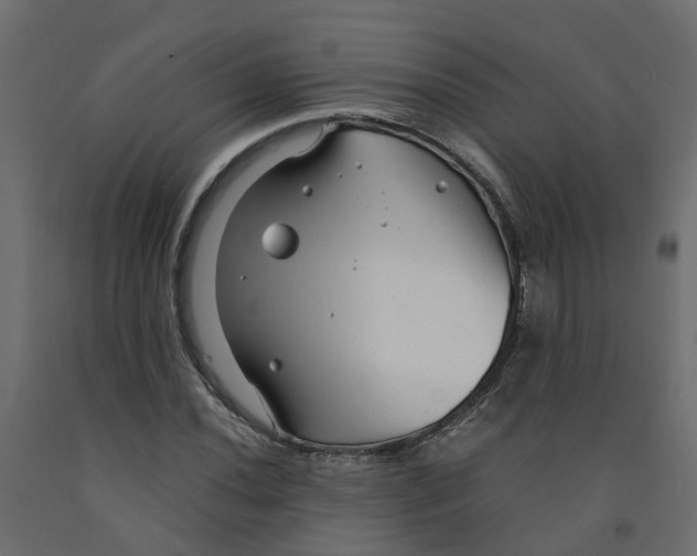 X0000091981020200710041105