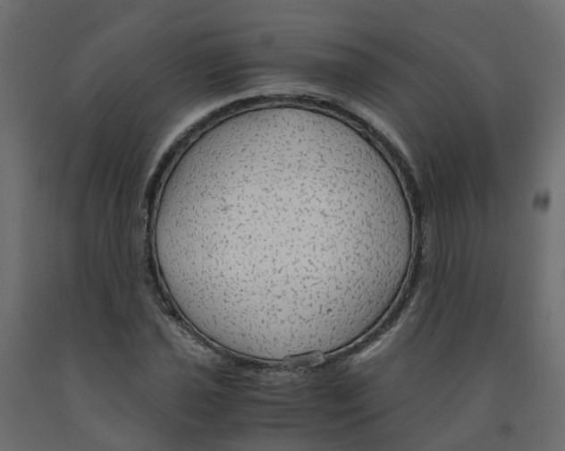 X0000091981021200710041105