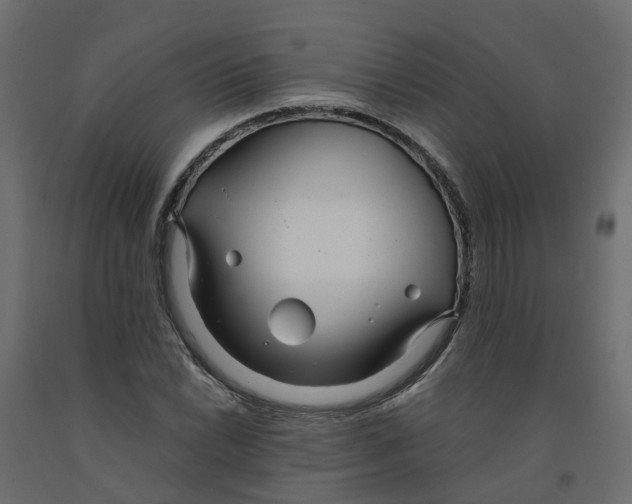 X0000091981022200710041105
