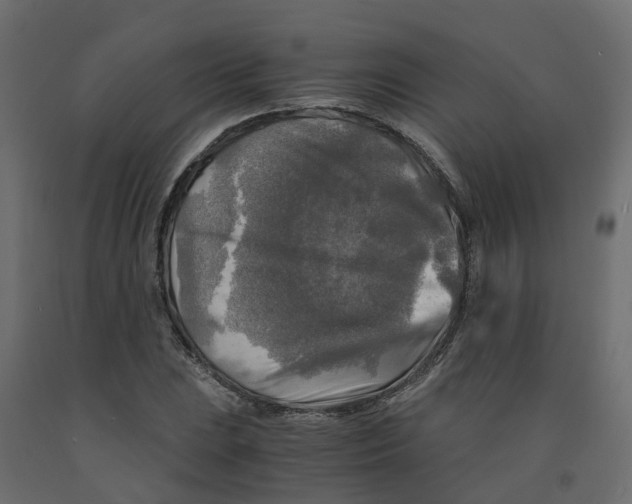 X0000091981023200710041105