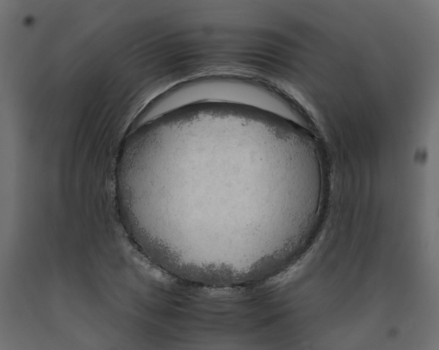 X0000091981025200710041105