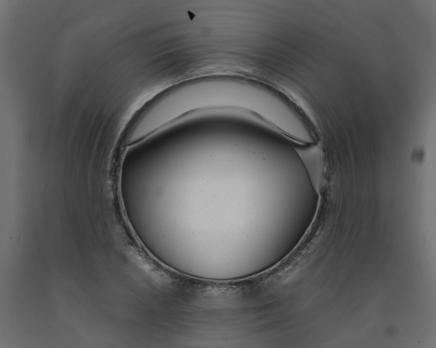 X0000091981026200710041105