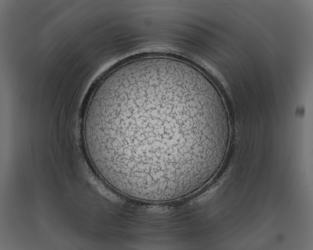 X0000091981029200710041106