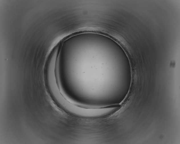 X0000091981030200710041106