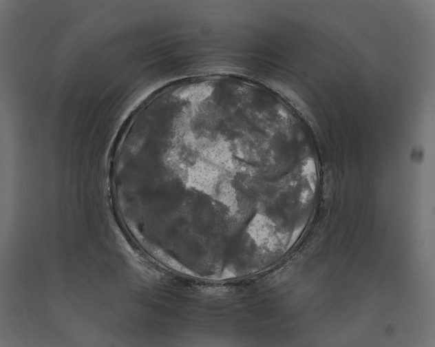 X0000091981031200710041106