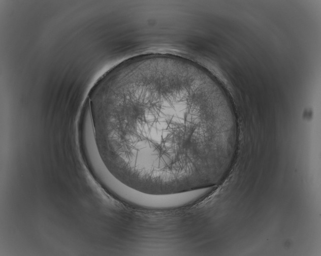 X0000091981032200710041106