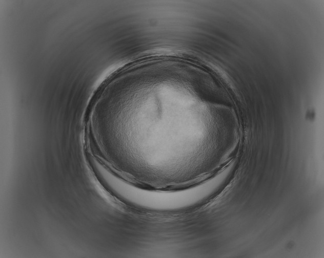 X0000091981034200710041106