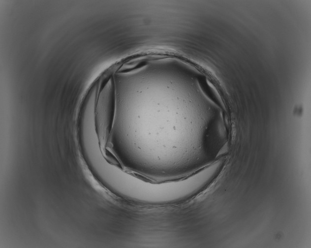 X0000091981038200710041106