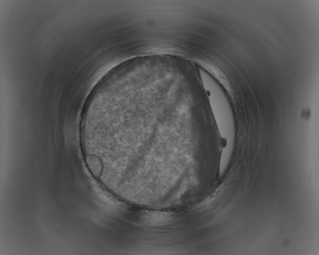 X0000091981039200710041106