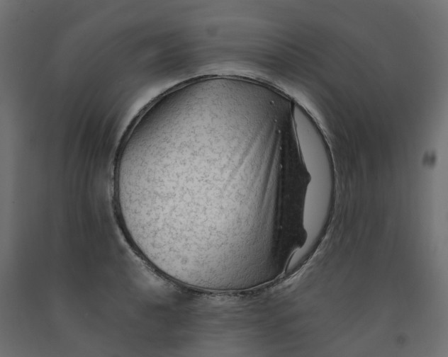 X0000091981040200710041106