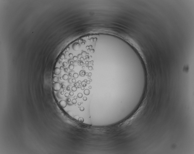 X0000091981041200710041106