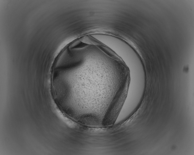X0000091981042200710041106