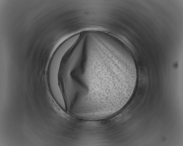X0000091981044200710041106