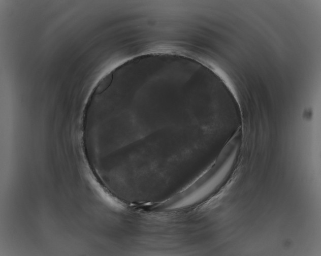 X0000091981045200710041106