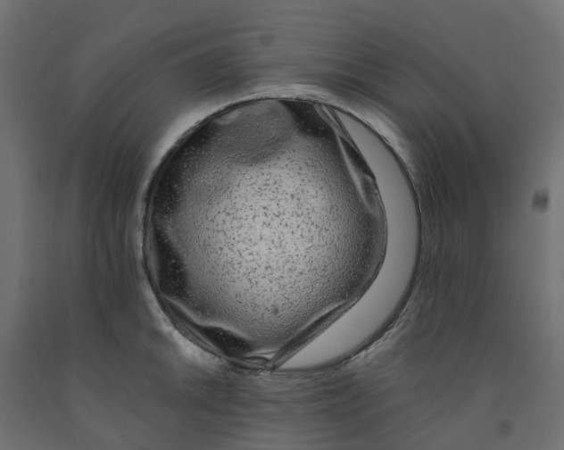 X0000091981046200710041106