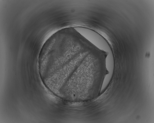 X0000091981047200710041106