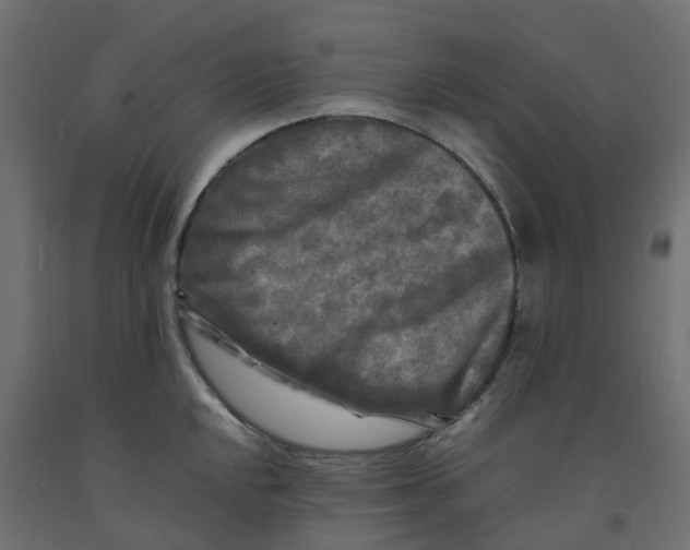 X0000091981048200710041106