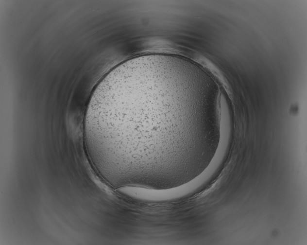 X0000091981049200710041106