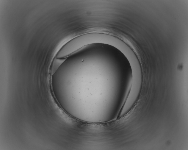 X0000091981050200710041106