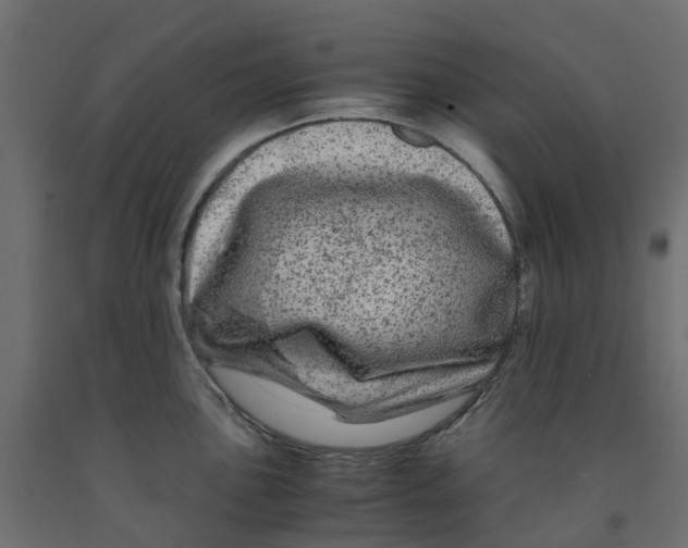 X0000091981051200710041106