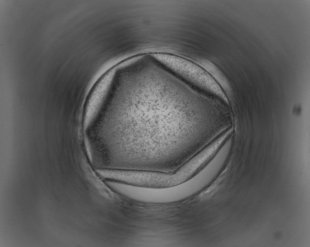 X0000091981052200710041106