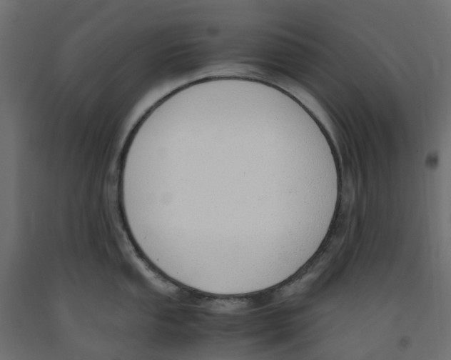 X0000091981053200710041106