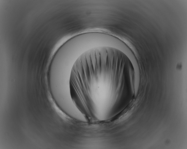 X0000091981054200710041106