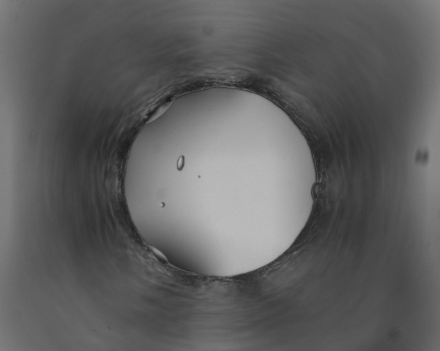 X0000091981058200710041105