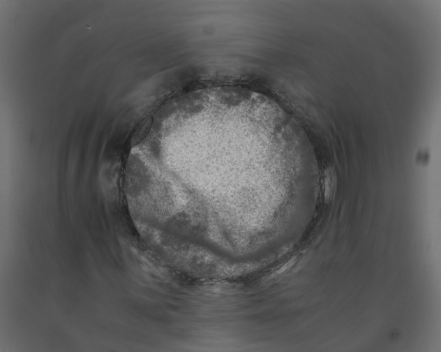 X0000091981059200710041105
