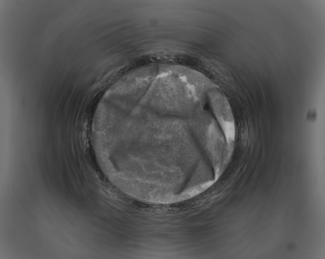 X0000091981060200710041105