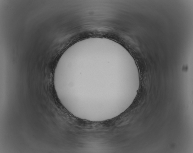 X0000091981061200710041105