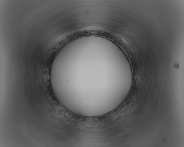 X0000091981062200710041105