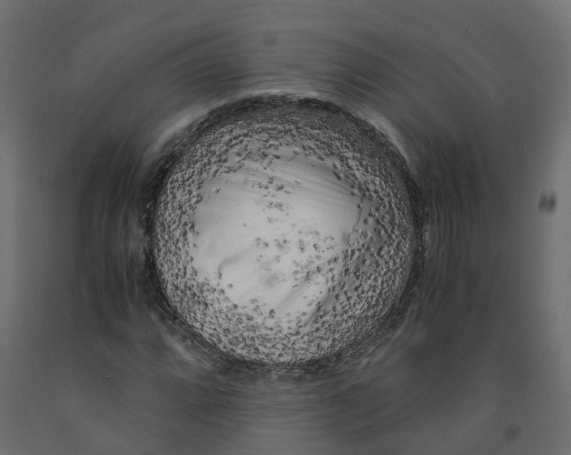 X0000091981064200710041105