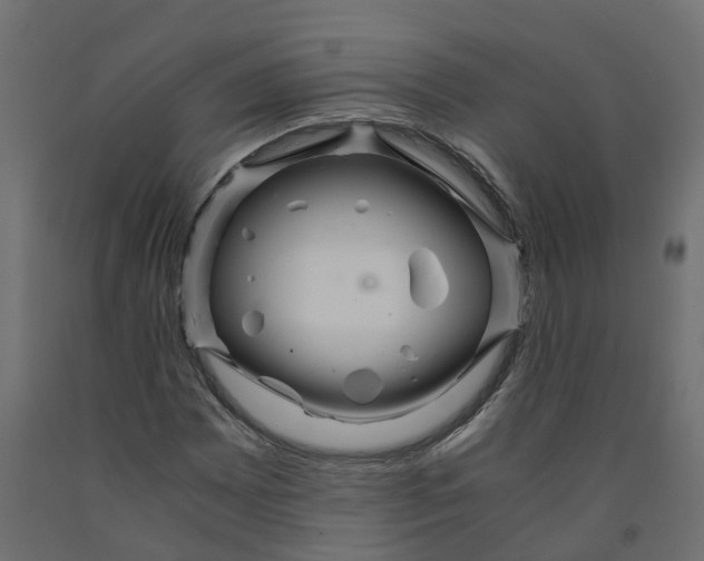 X0000091981065200710041105