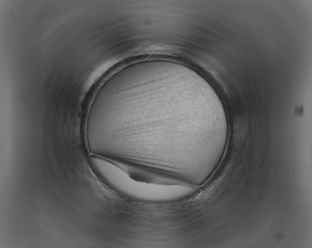 X0000091981066200710041105
