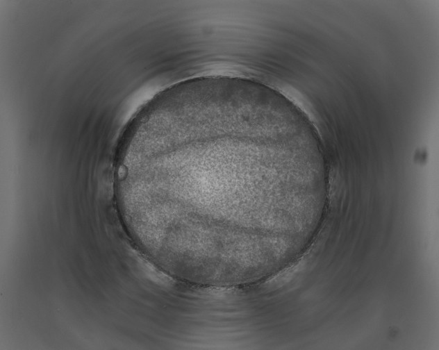 X0000091981067200710041105