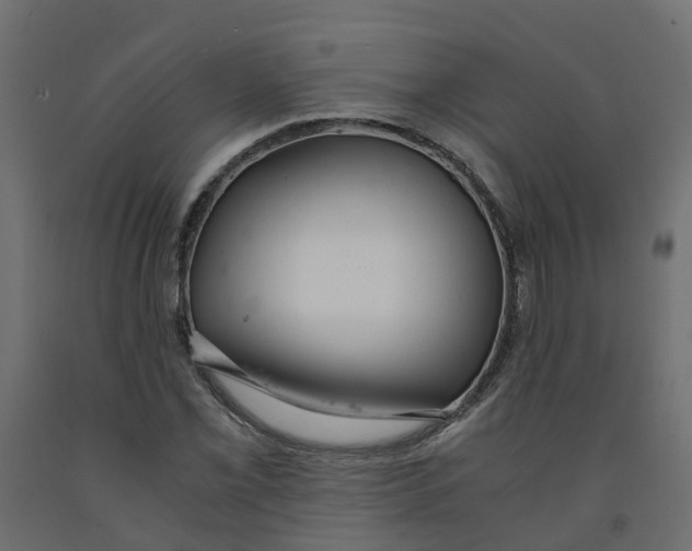 X0000091981069200710041105
