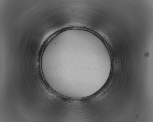 X0000091981070200710041105