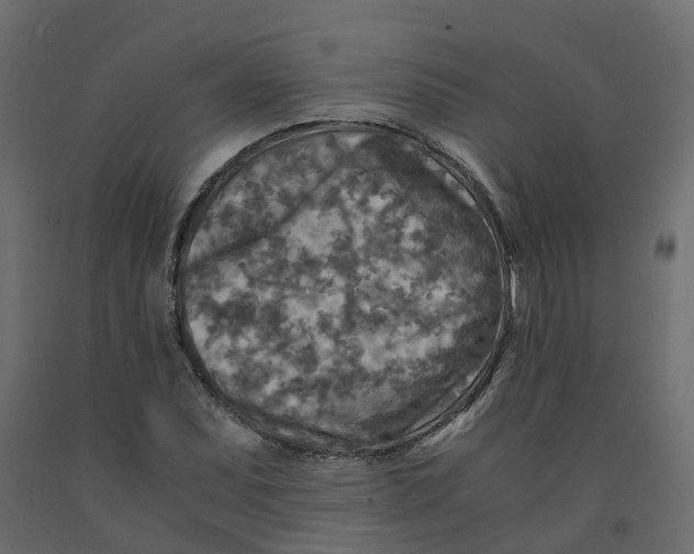 X0000091981071200710041105