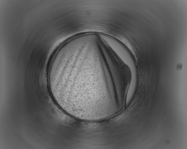 X0000091981072200710041105