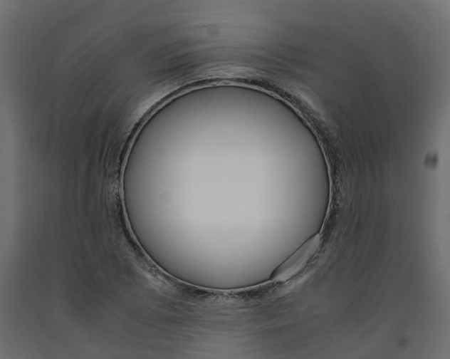 X0000091981073200710041105