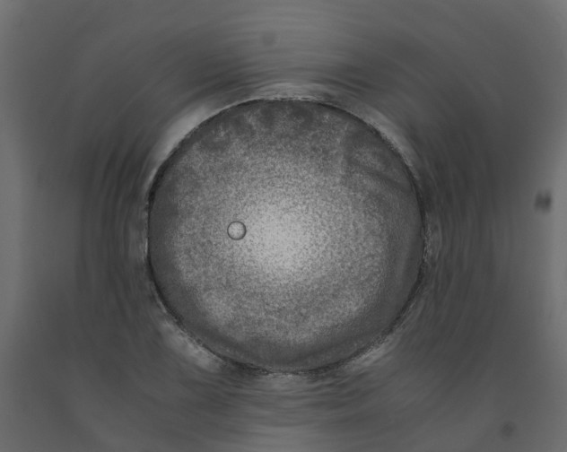 X0000091981075200710041105