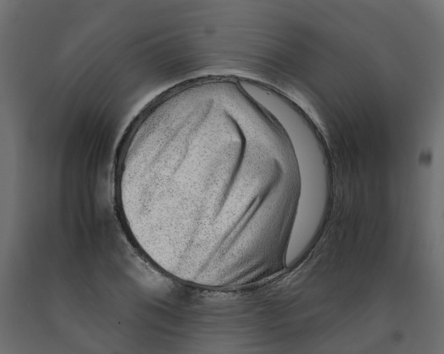 X0000091981076200710041105
