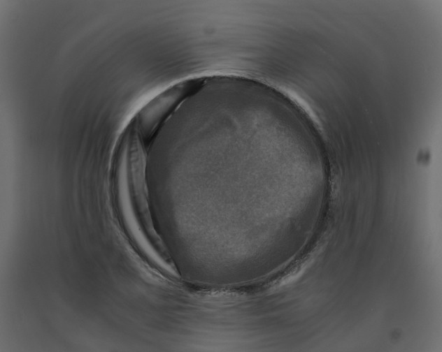 X0000091981077200710041105