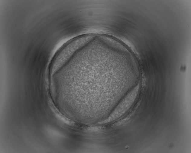 X0000091981078200710041105