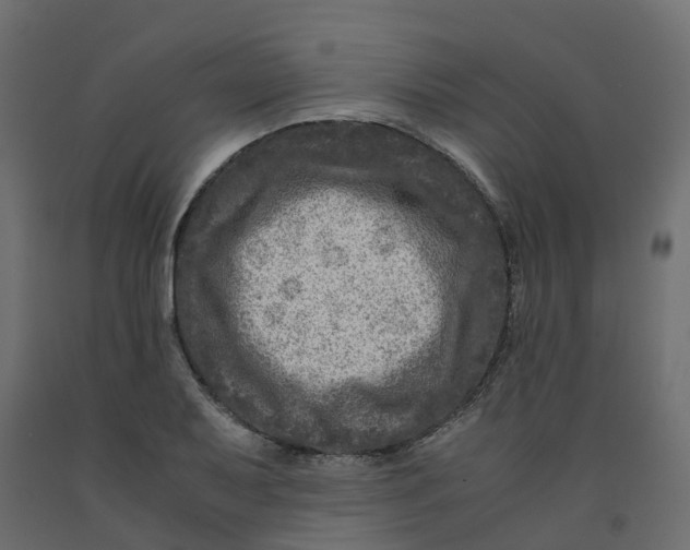 X0000091981079200710041105