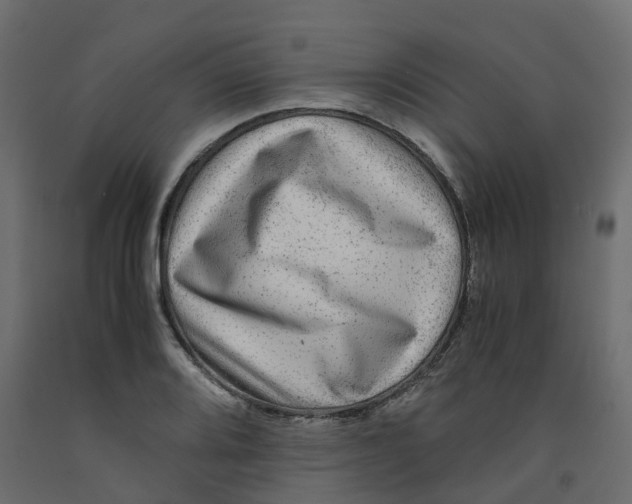 X0000091981080200710041105