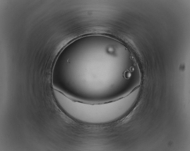 X0000091981081200710041105