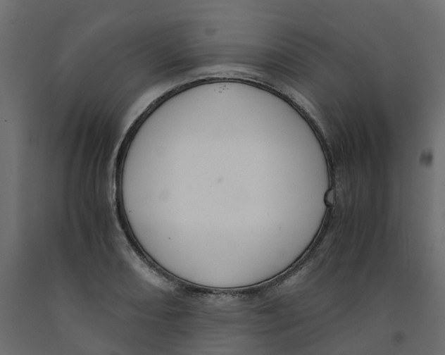 X0000091981082200710041105